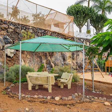 Tenerife Healing Garden Guía de Isora Eksteriør billede
