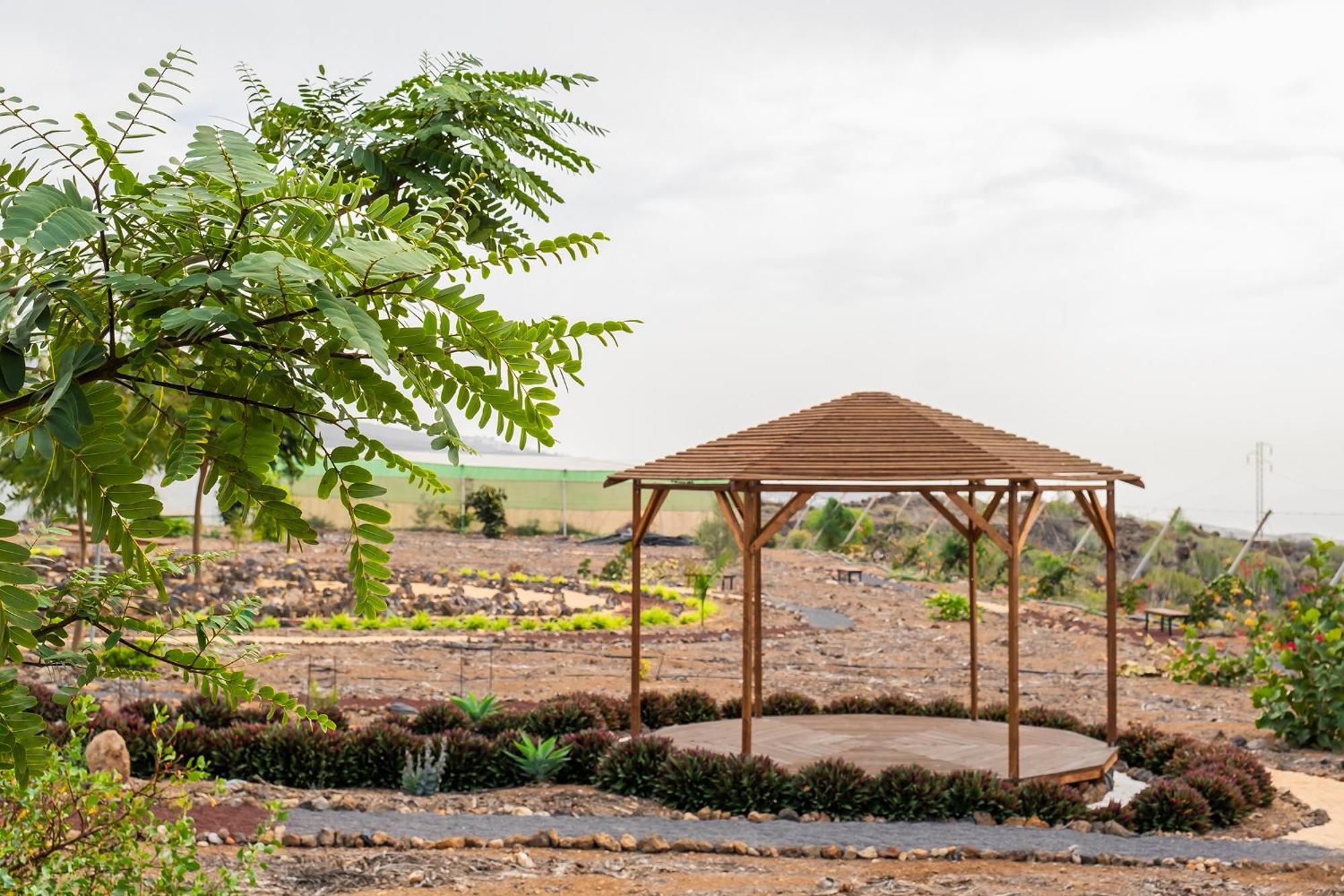 Tenerife Healing Garden Guía de Isora Eksteriør billede