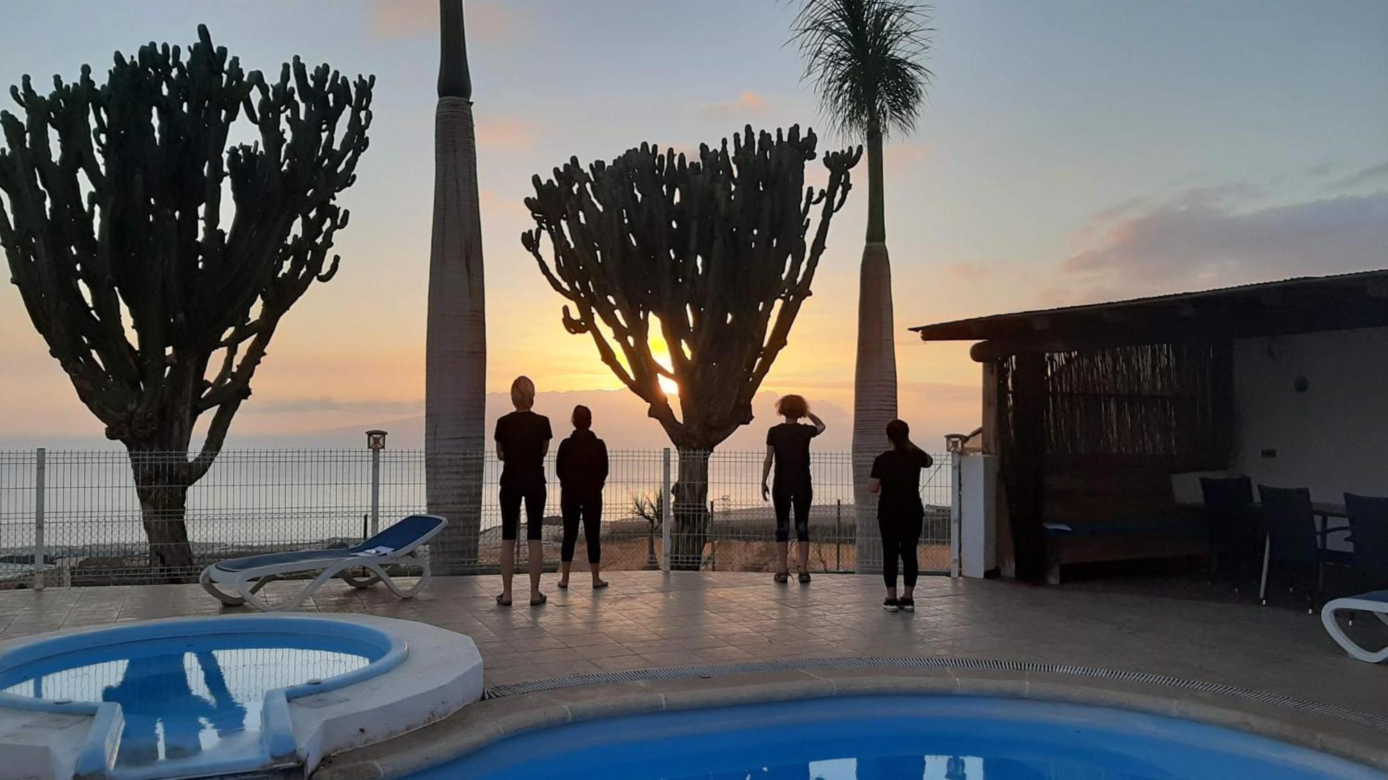 Tenerife Healing Garden Guía de Isora Eksteriør billede