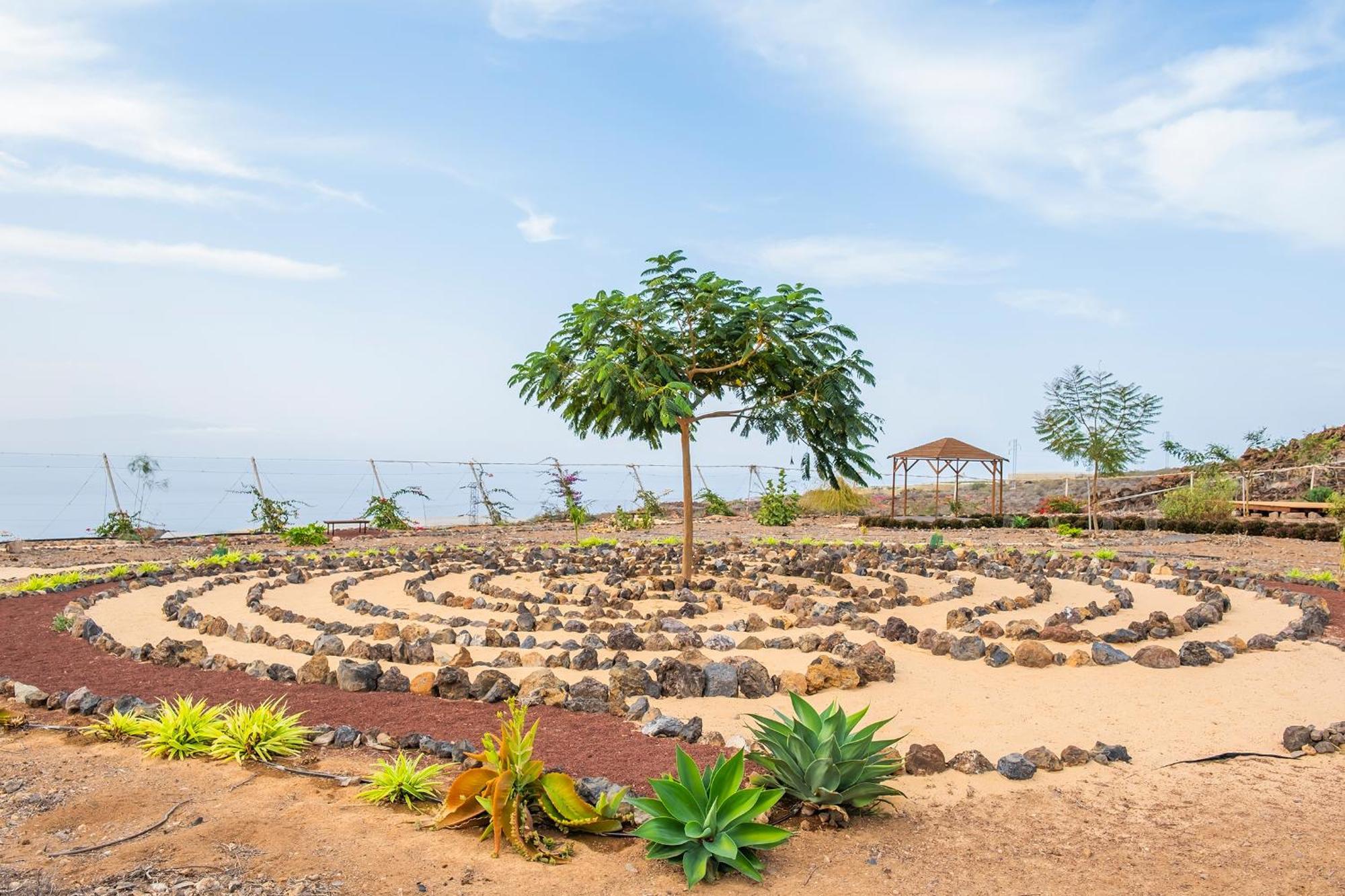 Tenerife Healing Garden Guía de Isora Eksteriør billede