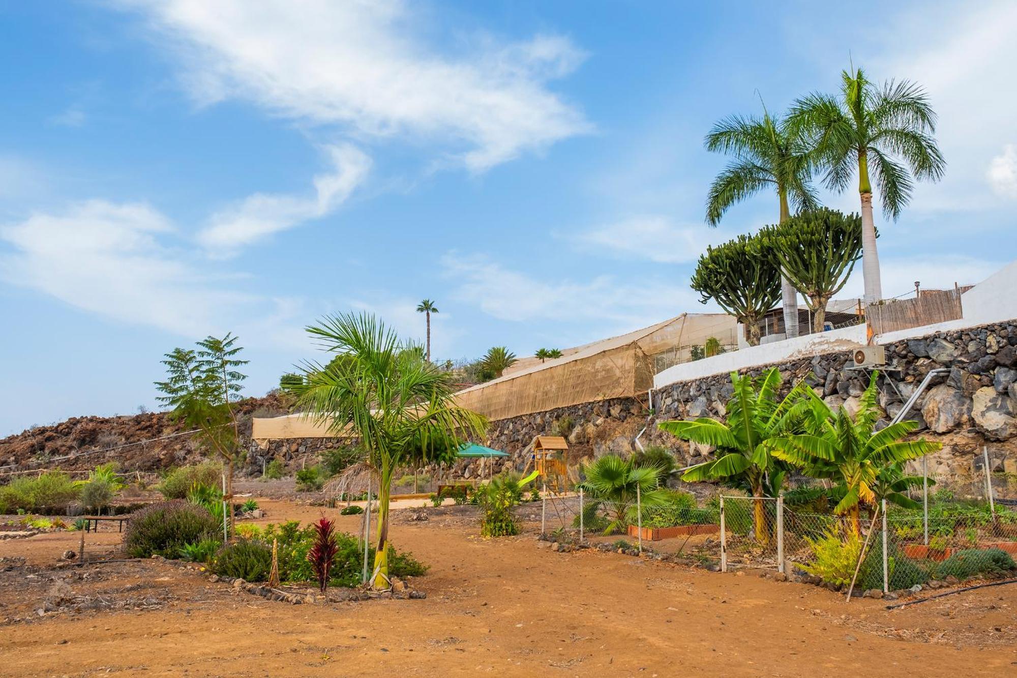 Tenerife Healing Garden Guía de Isora Eksteriør billede