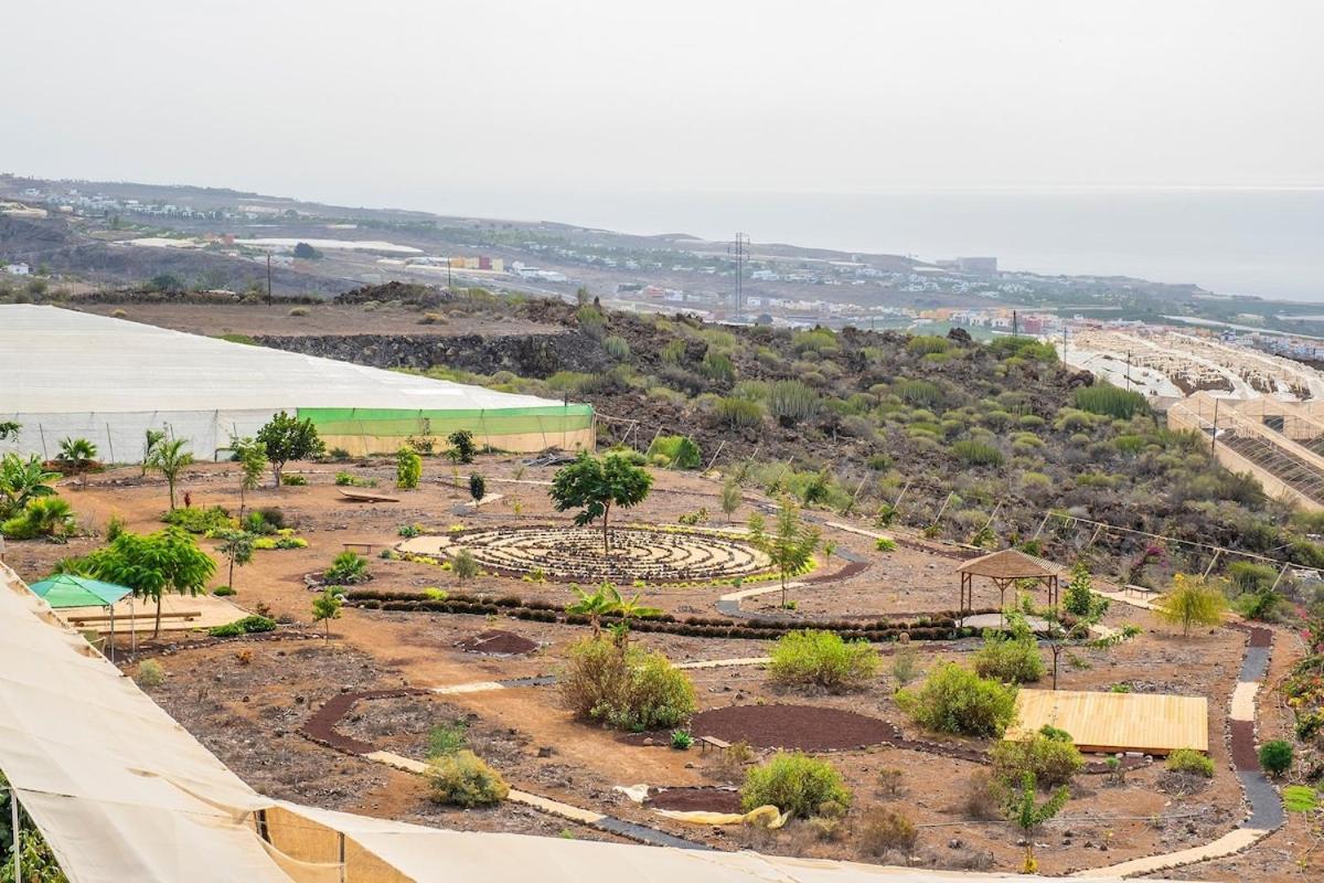 Tenerife Healing Garden Guía de Isora Eksteriør billede