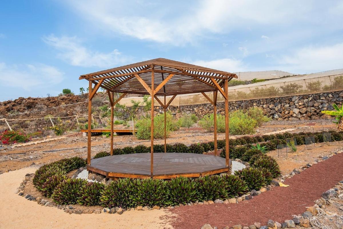 Tenerife Healing Garden Guía de Isora Eksteriør billede